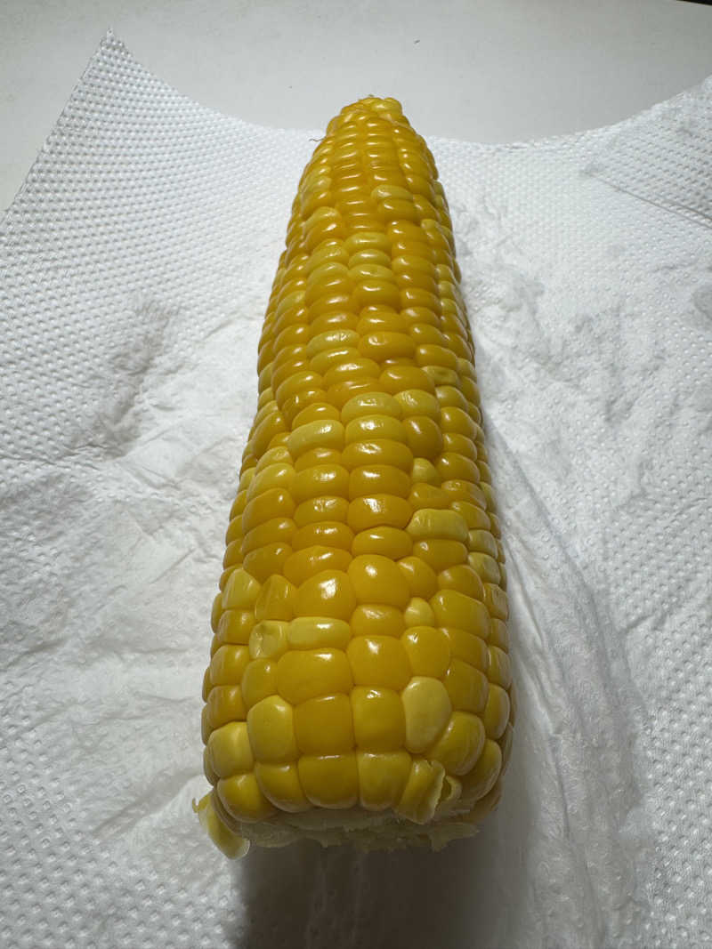 むしおさんのSHIIYA VILLAGEのサ活写真