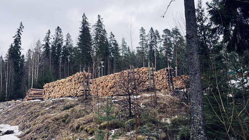 ポンセさんのKaupinojan Saunaのサ活写真