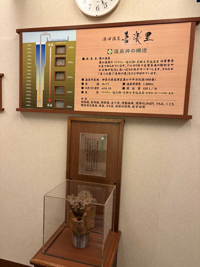 yutaさんの溝口温泉 喜楽里のサ活写真