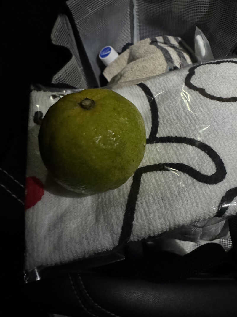 シーパパさんのえごた湯のサ活写真