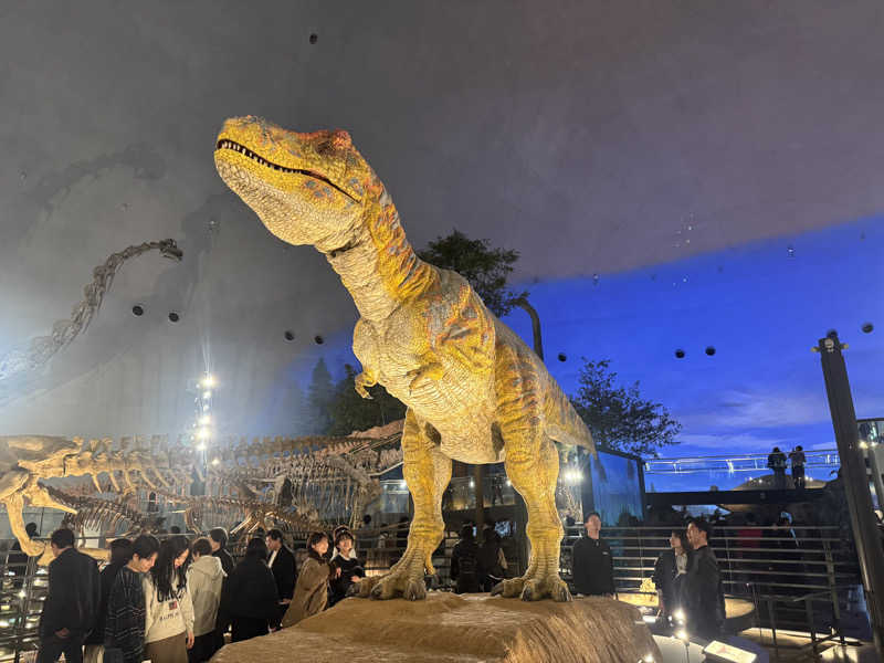 シーパパさんの山代温泉 ゆのくに天祥のサ活写真