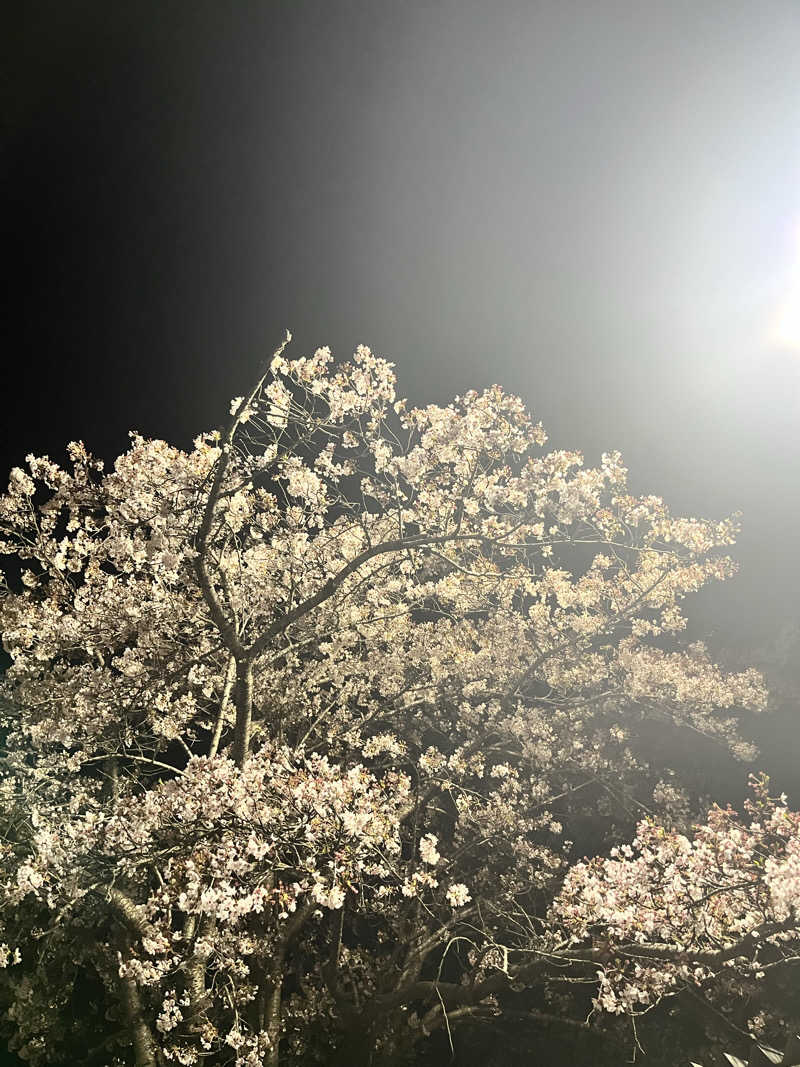 ☆ウナ道☆さんのひばり温泉のサ活写真