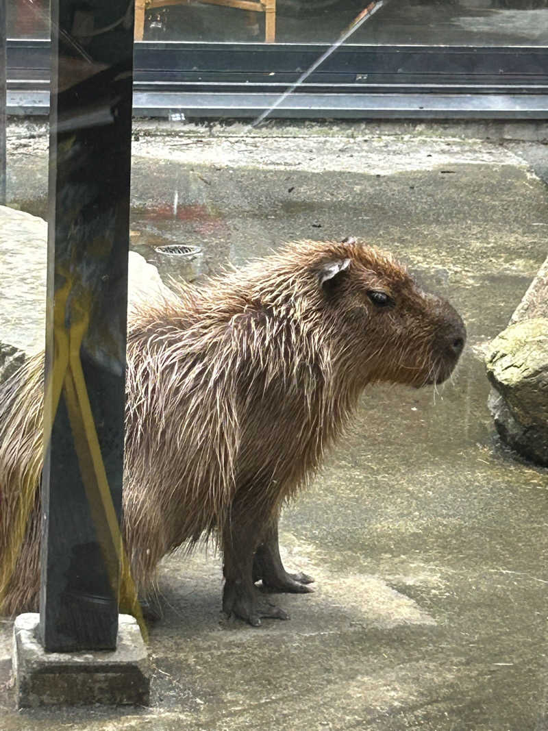 みっちぃさんの石狩天然温泉 番屋の湯のサ活写真