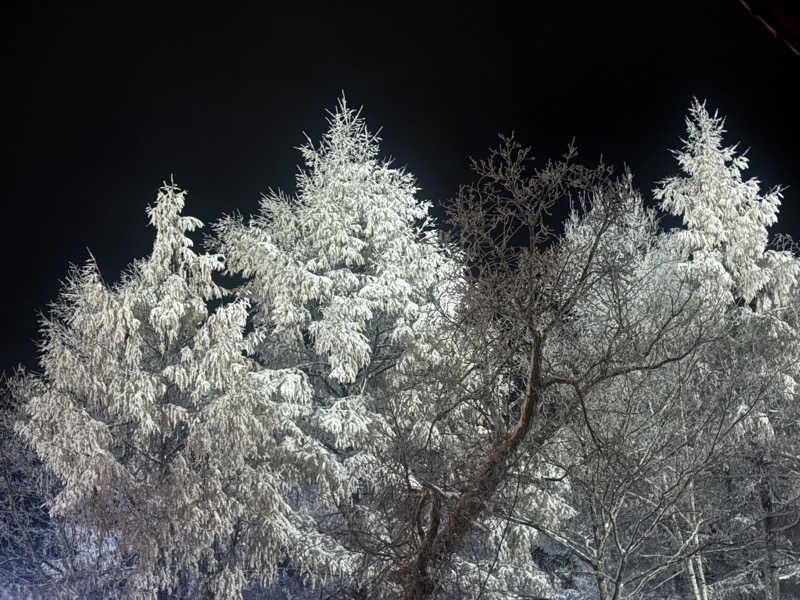 鏡さんの高源ゆのサ活写真