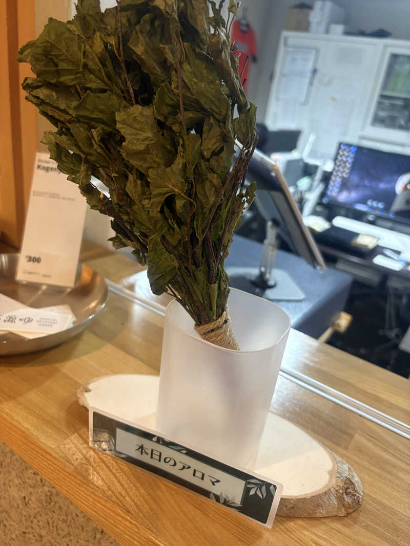 鏡さんの高源ゆのサ活写真