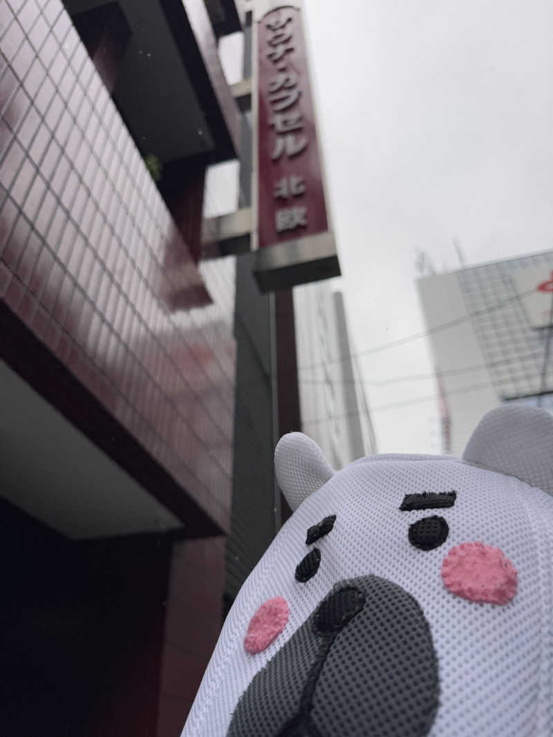 うえたか@灼熱の白熊🐻‍❄️🔥さんのサウナ&カプセルホテル 北欧のサ活写真