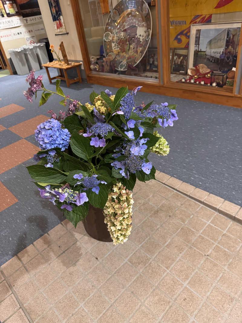 うえたか@灼熱の白熊🐻‍❄️🔥さんの豆坂温泉 三峰荘のサ活写真