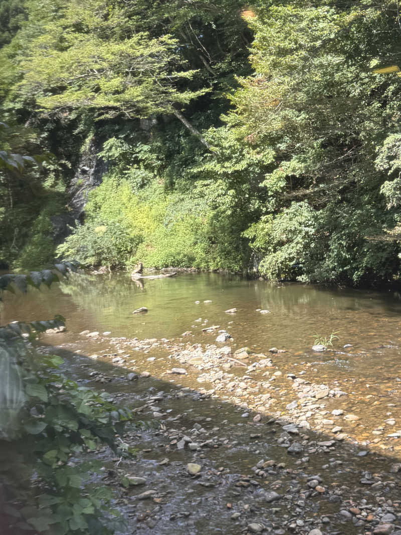 うえたか@灼熱の白熊🐻‍❄️🔥さんの鉛温泉 藤三旅館のサ活写真