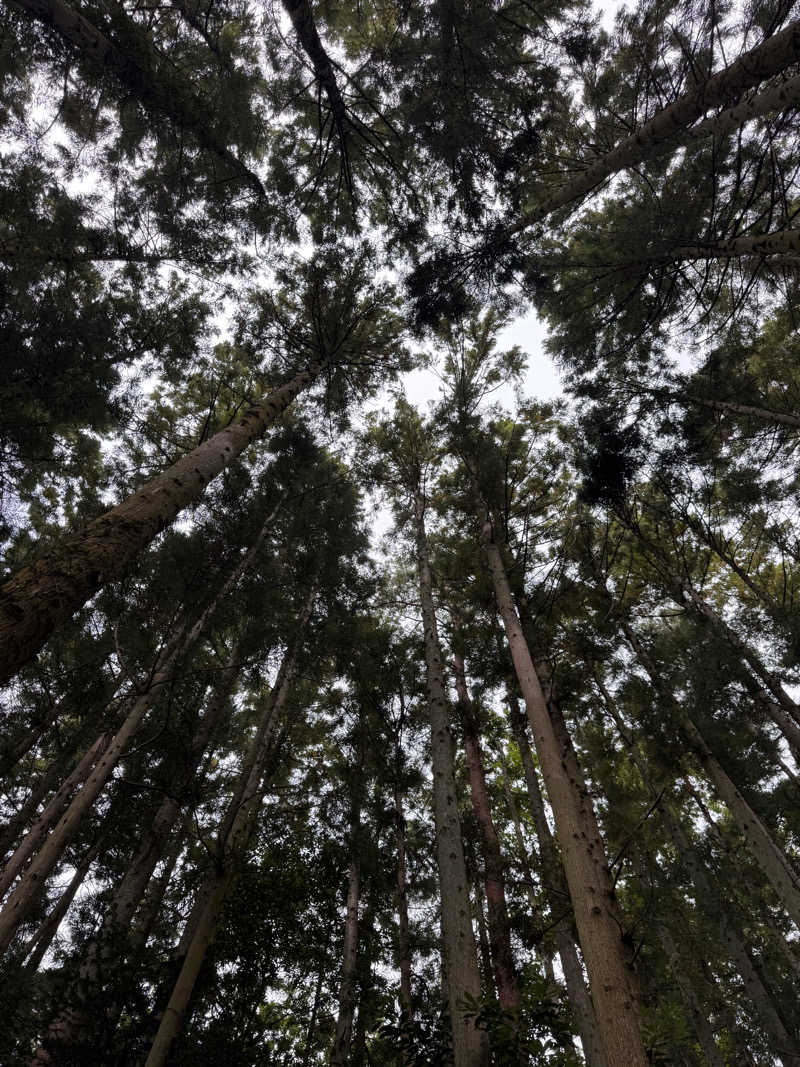 うえたか@灼熱の白熊🐻‍❄️🔥さんのJUURI SAUNA(ユーリサウナ)のサ活写真