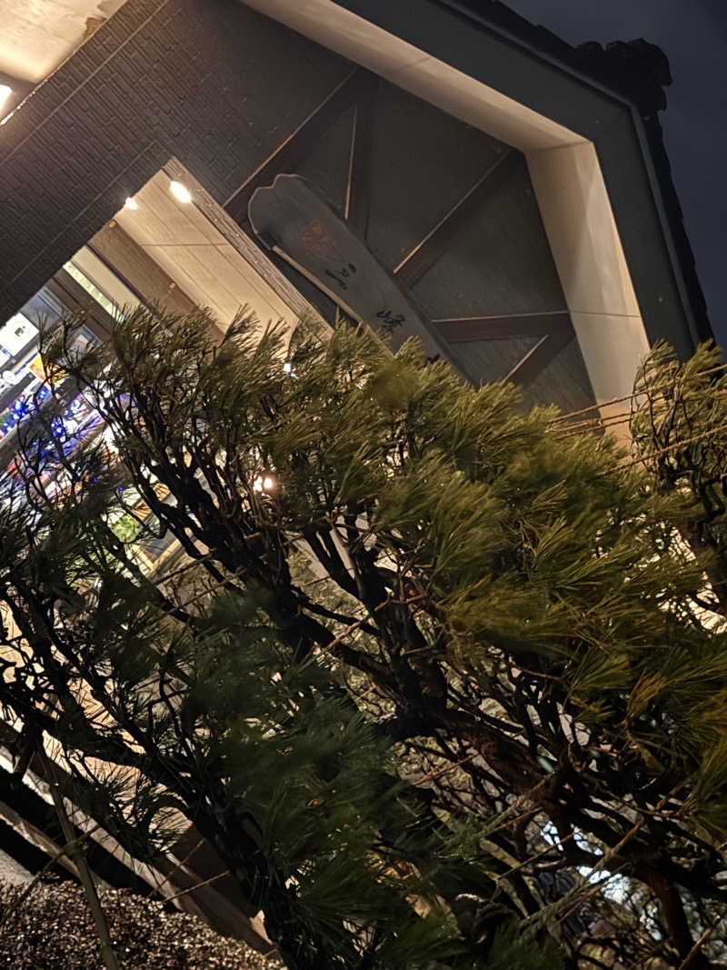 うえたか@灼熱の白熊🐻‍❄️🔥さんの豆坂温泉 三峰荘のサ活写真