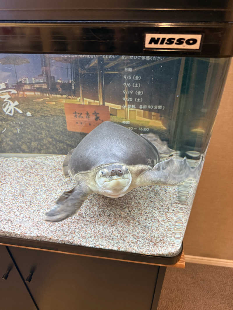 ミヌサウナさんの松本湯のサ活写真