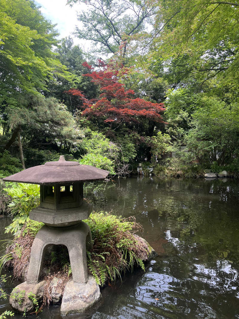 アム君さんの豊島園 庭の湯のサ活写真