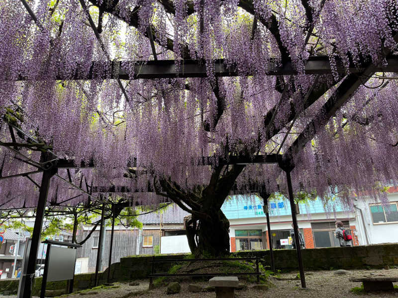 kitach00さんの天然温泉 べんがらの湯(八女市健康増進施設 べんがら村)のサ活写真