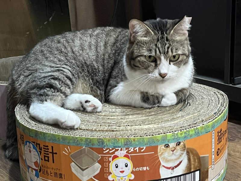 kitach00さんのヌルヌル有田温泉のサ活写真