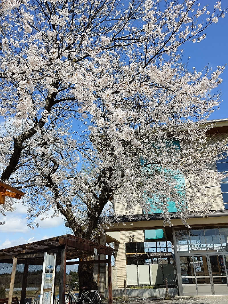 ようようズさんの五輪坂温泉としとらんどのサ活写真