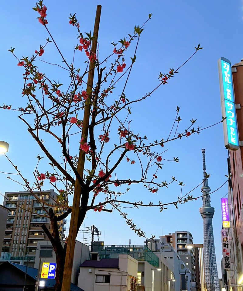 sue*さんのスパ&カプセルイン リアルサウナ錦糸町のサ活写真