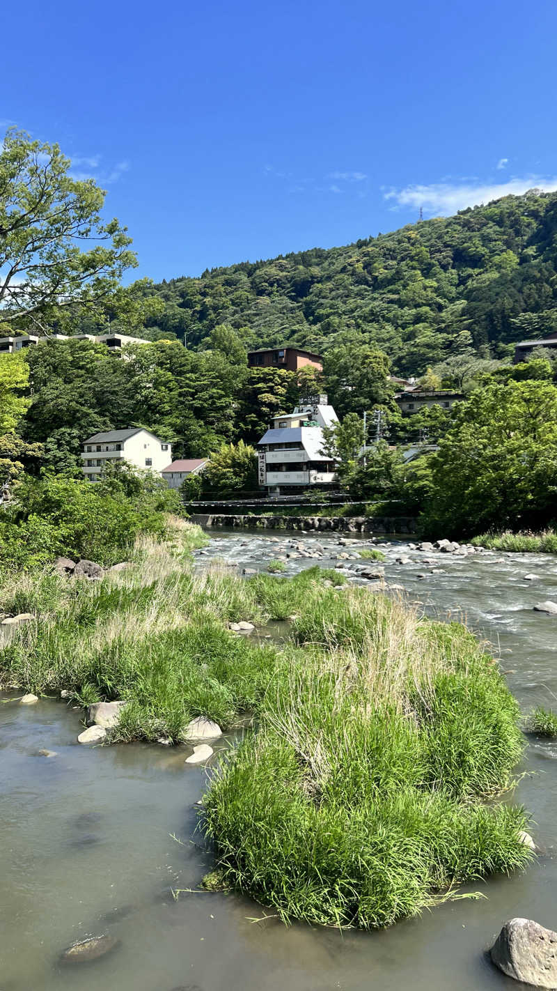ましゅさんさんの湯本富士屋ホテルのサ活写真