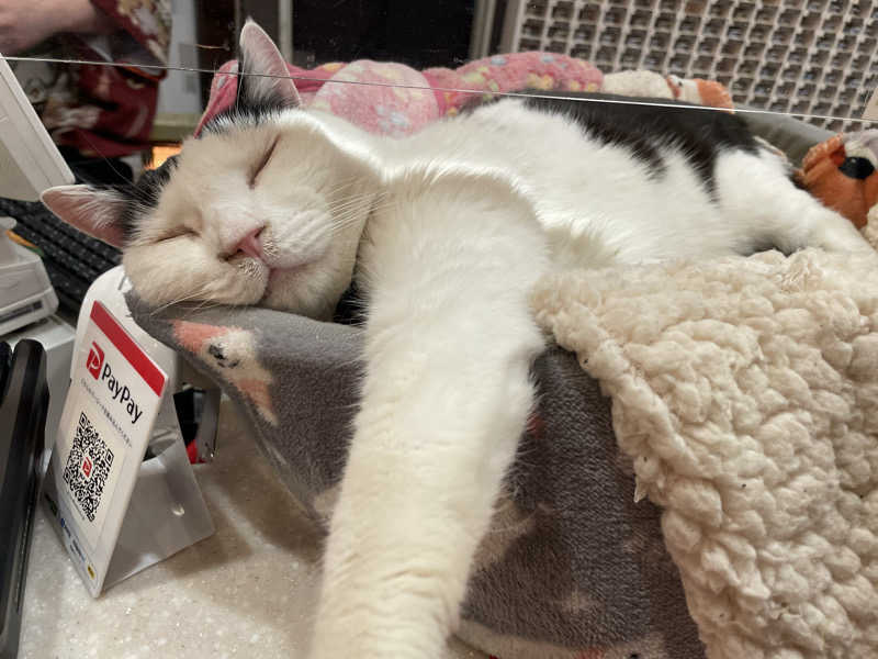 だいや 毎日サ活さんの行田・湯本天然温泉 茂美の湯のサ活写真