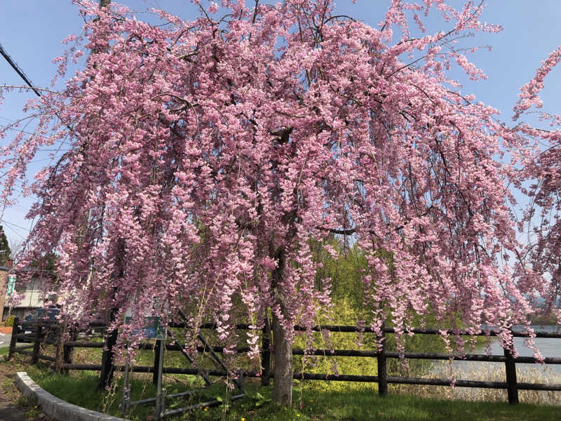 ねこまんまさんのつがる市車力ウェルネスセンター しゃりき温泉のサ活写真
