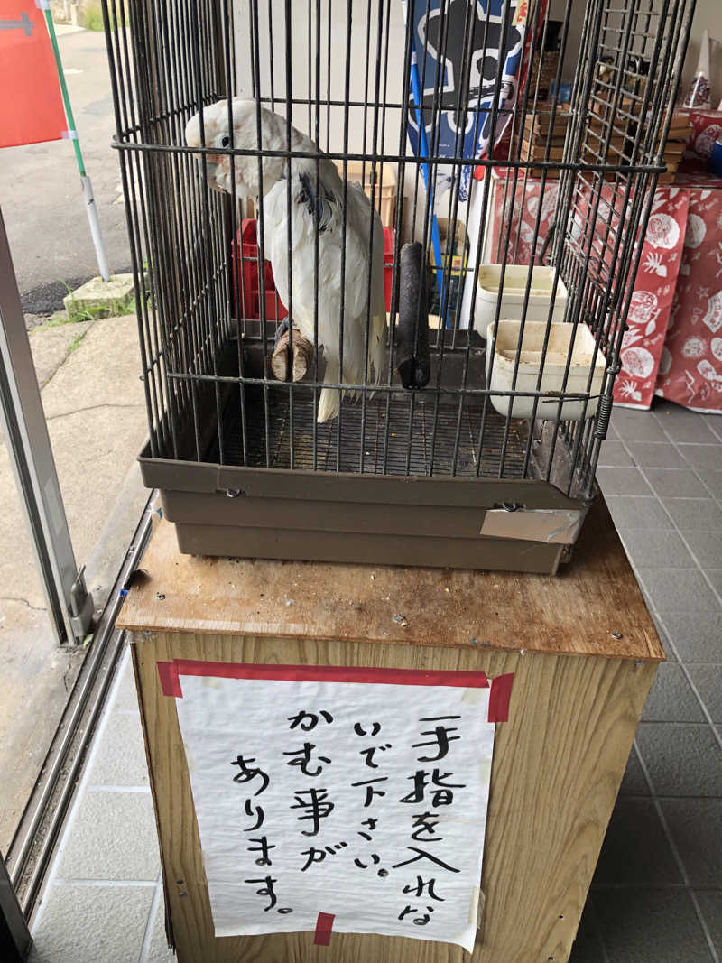 ねこまんまさんの極楽湯 青森店のサ活写真