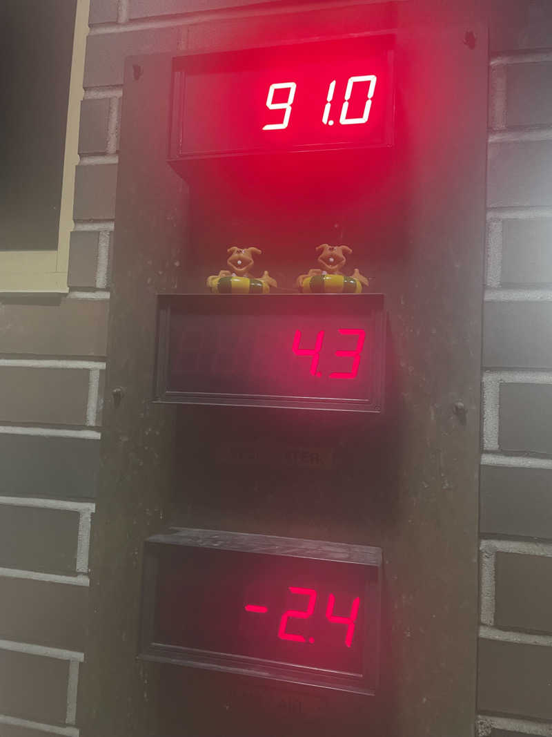 熱いか、冷たいか、景観良いか、静かか、さんのKaupinojan Saunaのサ活写真