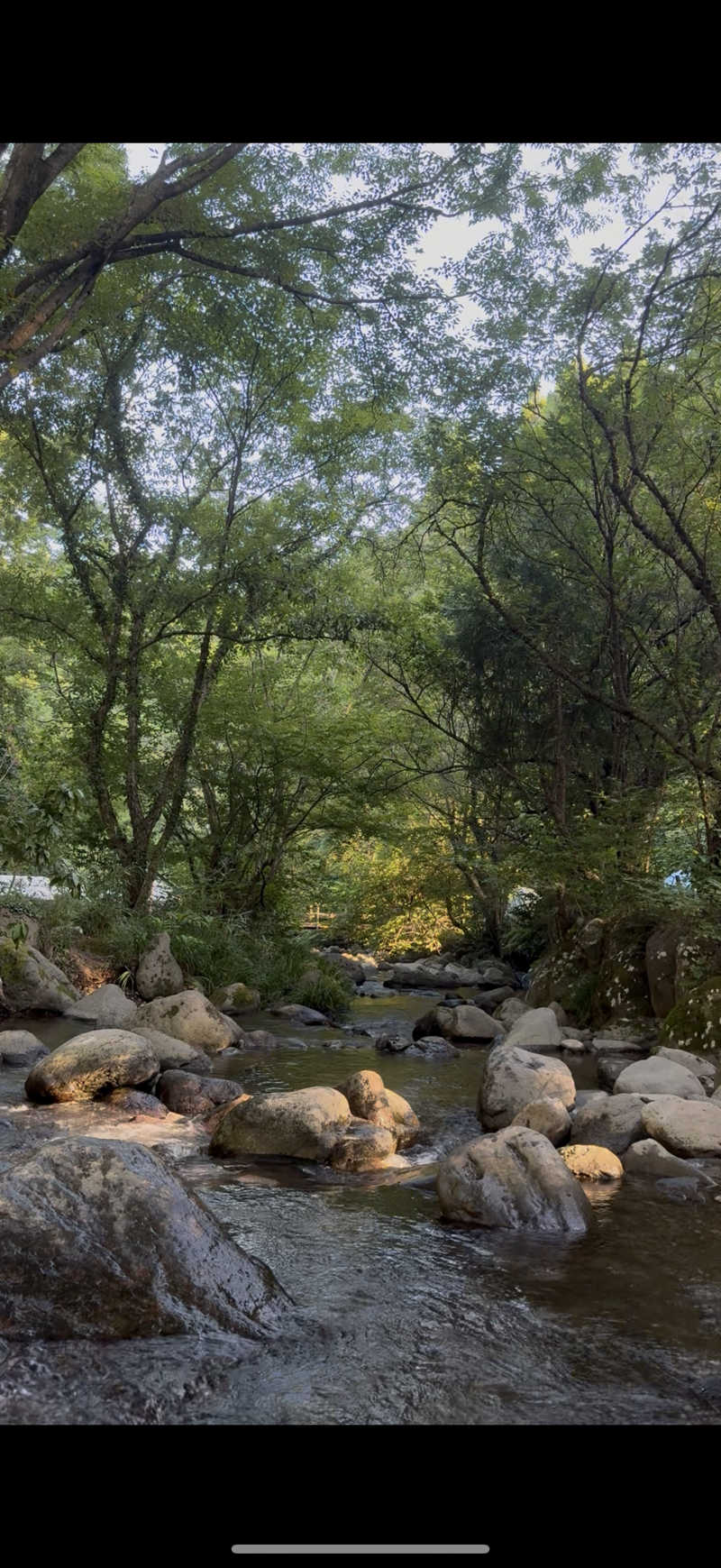 あべさんの公衆アウトドアサウナ ノサウナのサ活写真