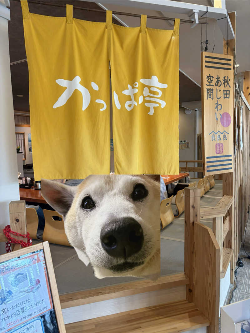 モチさんのユーランドホテル八橋のサ活写真