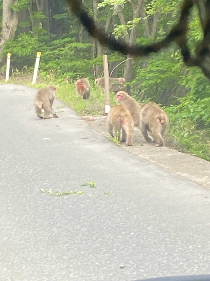 りこりさんの五色温泉オートキャンプ場のサ活写真