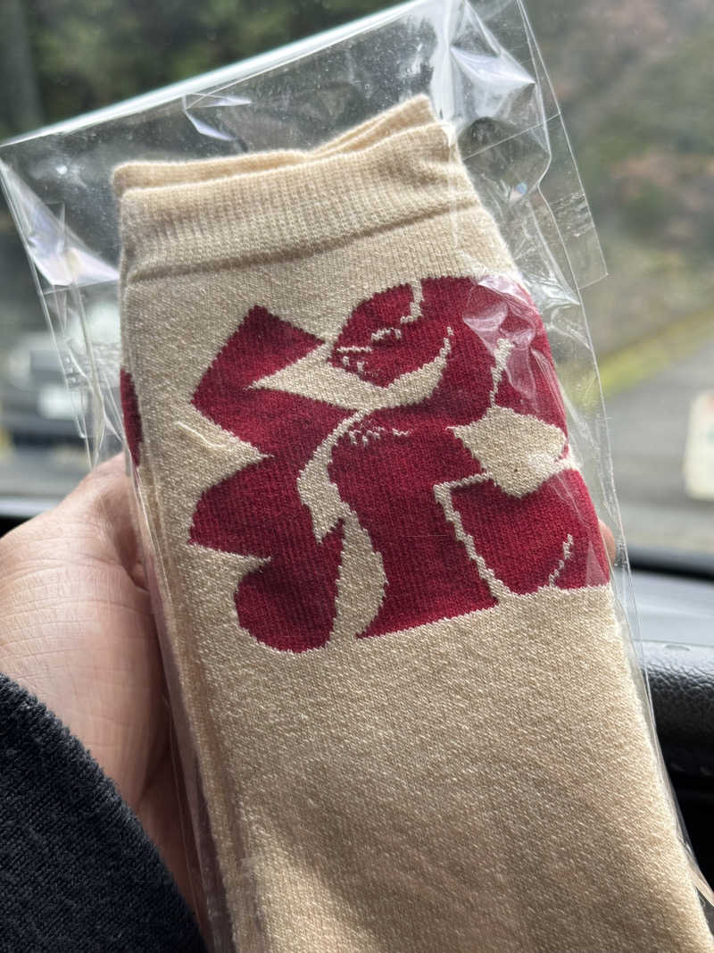 犬好きサウナーさんの紀美野サウナ&ホテルのサ活写真