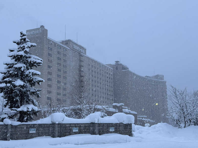 犬好きサウナーさんの定山渓ビューホテルのサ活写真