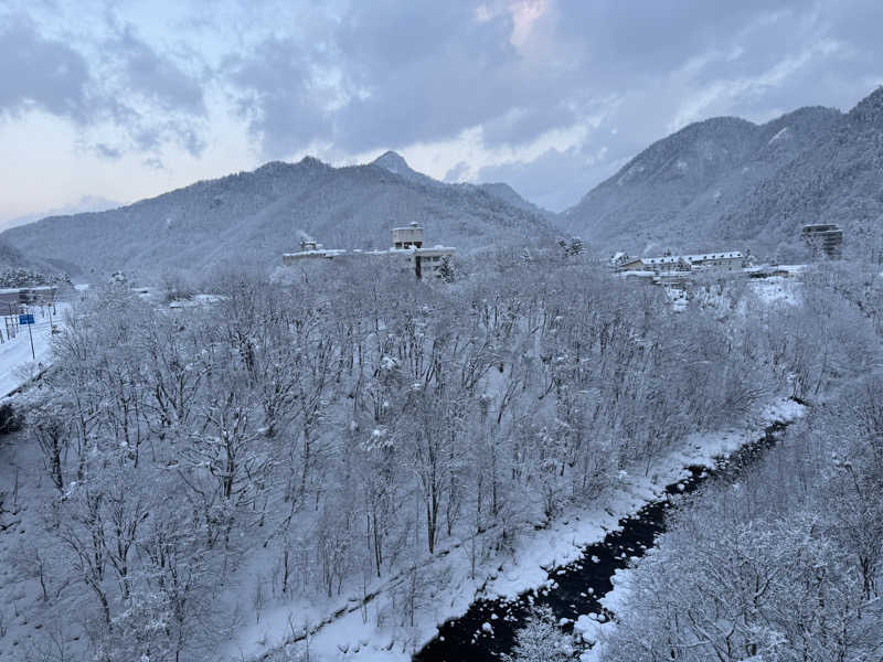 犬好きサウナーさんの定山渓ビューホテルのサ活写真