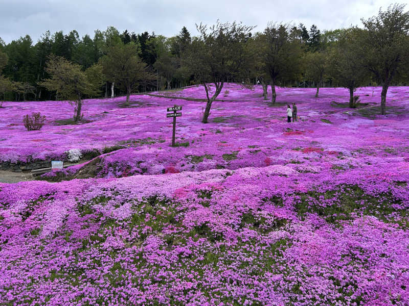 K.M.さんのたきのうえホテル渓谷のサ活写真