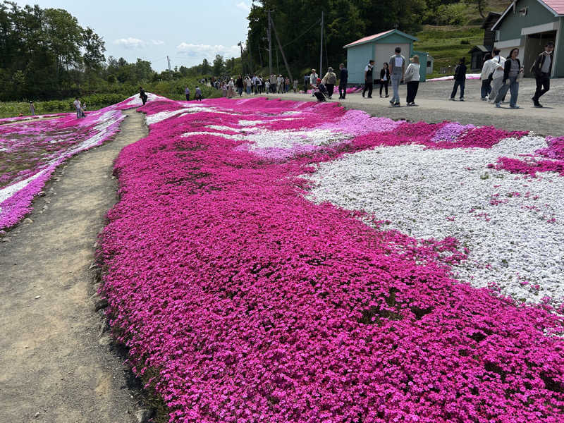 K.M.さんのかもえない竜神温泉のサ活写真