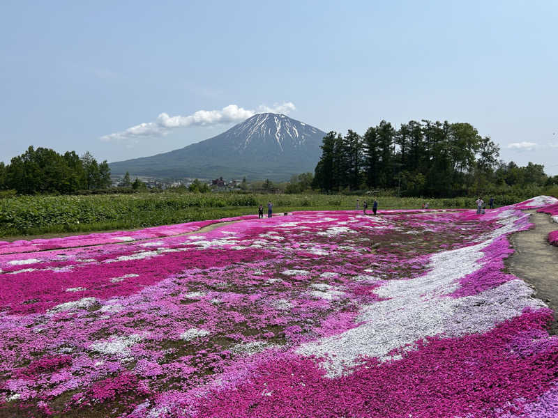 K.M.さんのかもえない竜神温泉のサ活写真