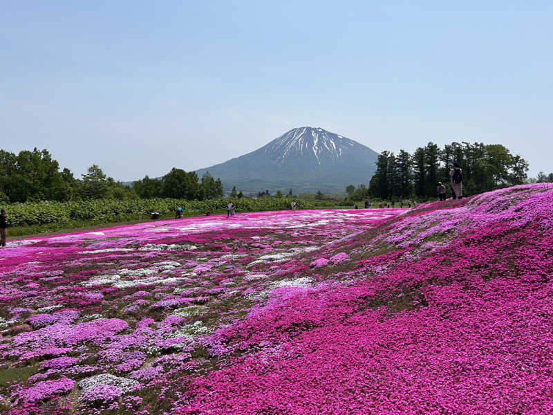 K.M.さんのかもえない竜神温泉のサ活写真