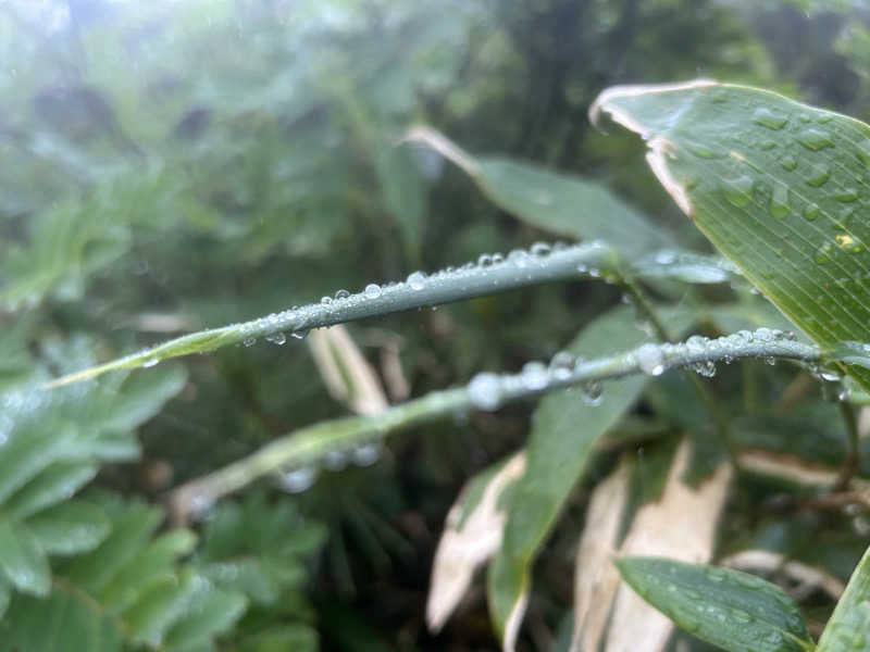 K.M.さんの吹上温泉保養センター 白銀荘のサ活写真