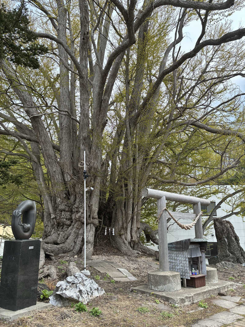 ウニ子さんの小金湯温泉 湯元 小金湯のサ活写真
