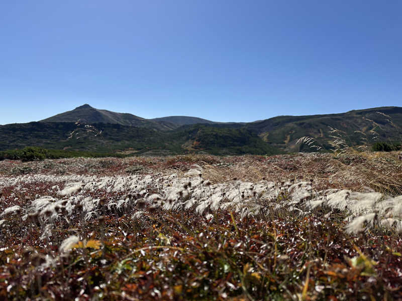 京極の湧水さんの黒岳の湯のサ活写真