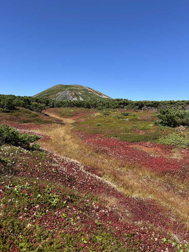 京極の湧水さんの黒岳の湯のサ活写真