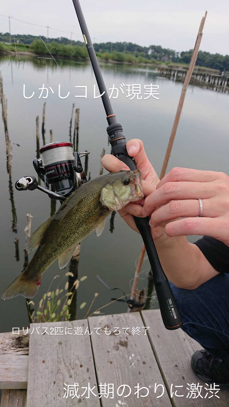 バナナおじさんさんのスーパー銭湯 佐野やすらぎの湯のサ活写真