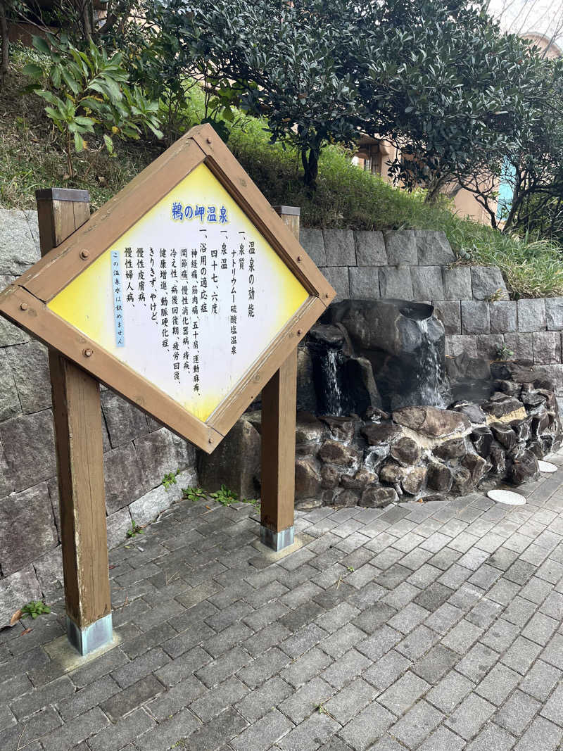 ぐろちゃんさんの国民宿舎鵜の岬のサ活写真