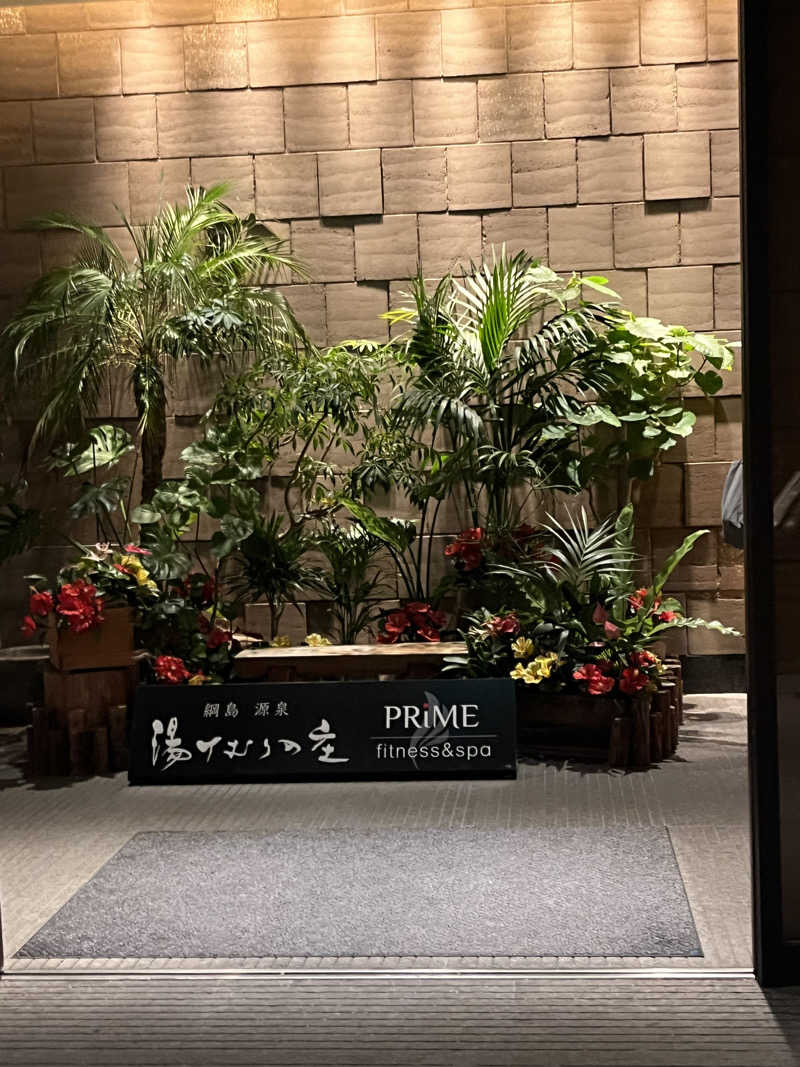 りえうのさんの綱島源泉 湯けむりの庄のサ活写真