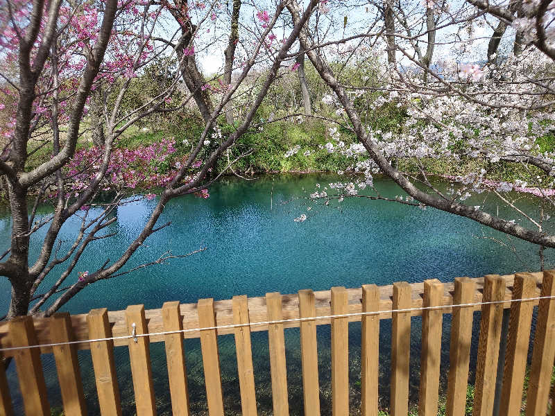 CLOVERさんの南道後温泉ていれぎの湯のサ活写真