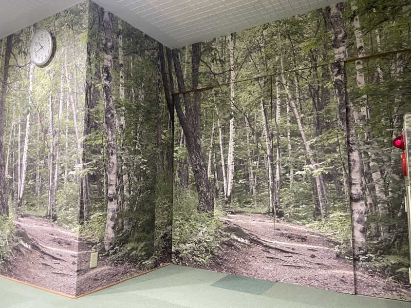 takahaopostさんのスパ&カプセル ニューウイングのサ活写真