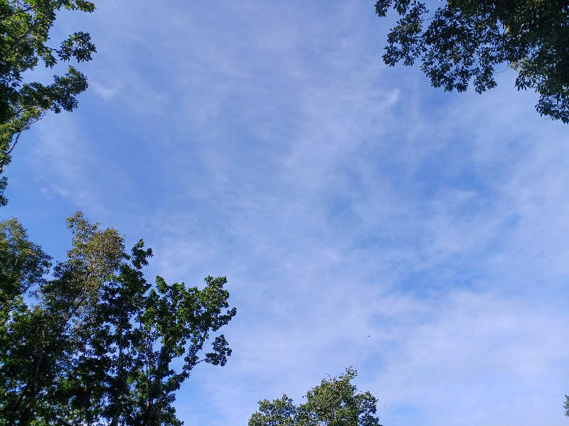 ブルツリさんのフォレストグランピングリゾート稜「ITU」のサ活写真