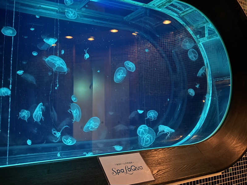 KAさんの東京ドーム天然温泉 Spa LaQua(スパ ラクーア)のサ活写真