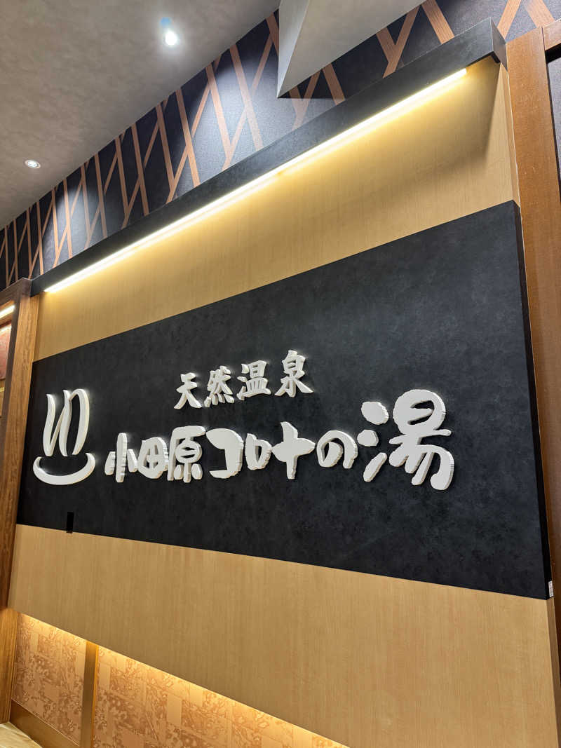 とぅえにぼーいさんの天然温泉 小田原コロナの湯のサ活写真