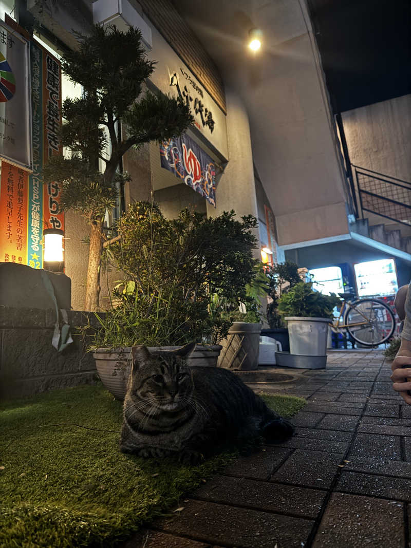 とぅえにぼーいさんの八千代湯のサ活写真