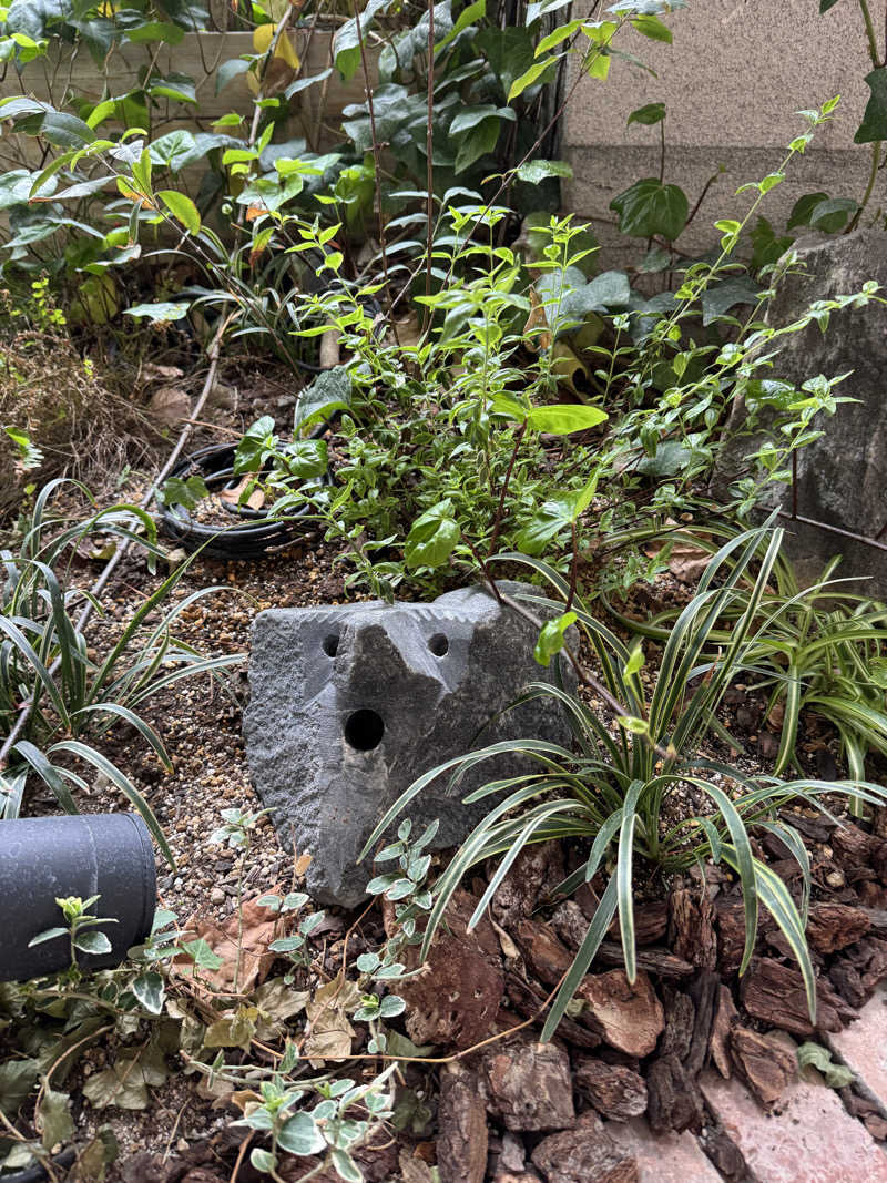 とぅえにぼーいさんの神戸サウナ&スパのサ活写真