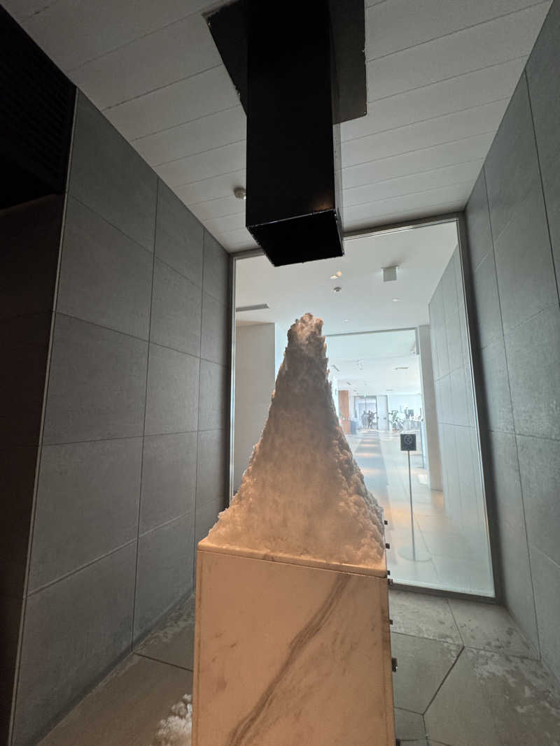 とぅえにぼーいさんの大磯プリンスホテル THERMAL SPA S.WAVEのサ活写真